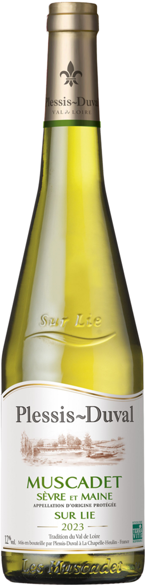  AOP MUSCADET SEVRE ET MAINE SUR LIE BLANC