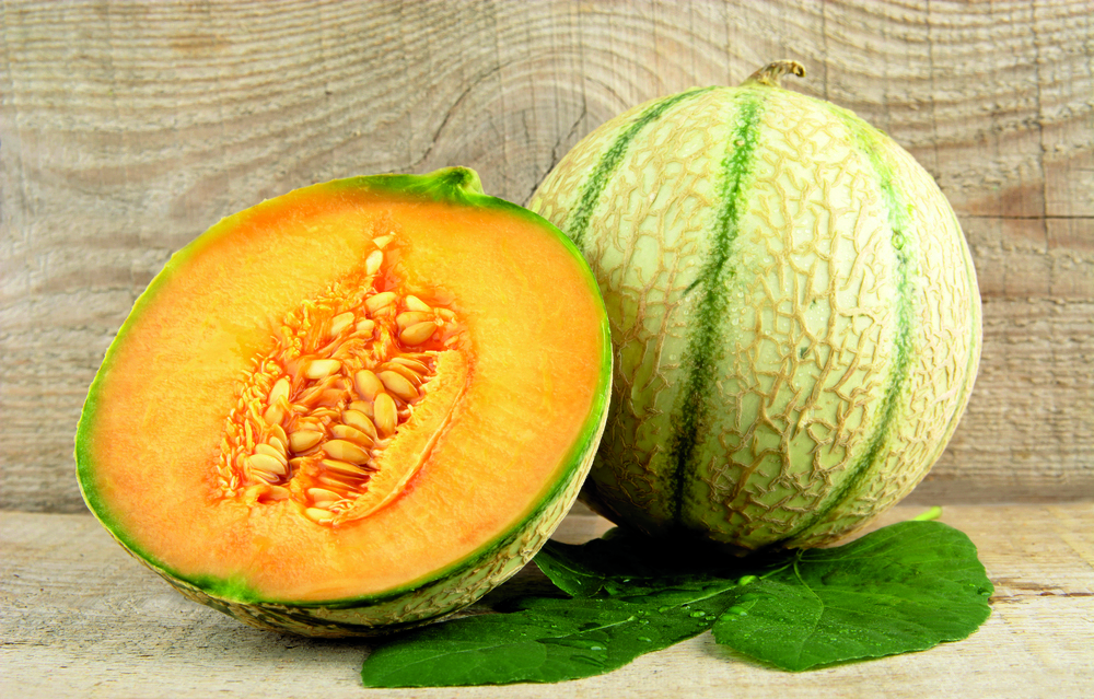  MELON code EAN 3212221548555 