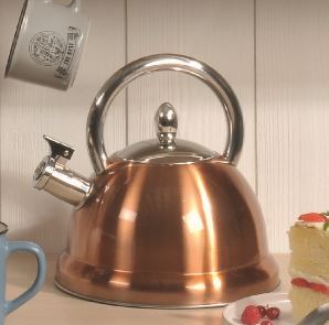 baumalusimple BOUILLOIRE À SIFFLET 2,7 L 3216383427823 (3216383427823)