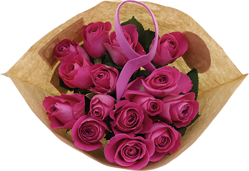 MAX HAVELAAR BOUQUET DE 15 ROSES code EAN 3218432 