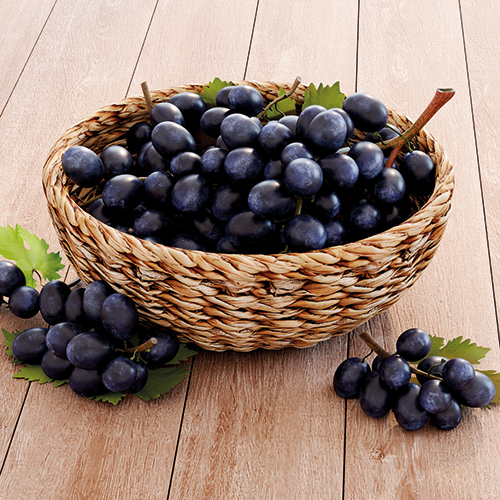  RAISIN NOIR MUSCAT DU VENTOUX AOP code EAN 3222999 