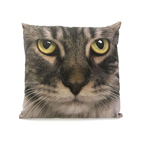 Vincent Larrousse - Coussin tête de chat tigré ...