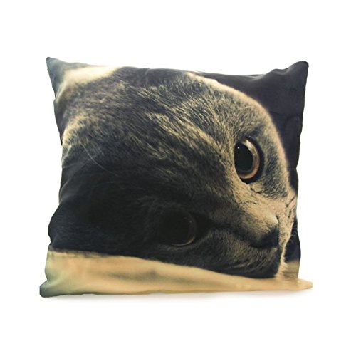 Vincent Larrousse - Coussin Tête de Chat Gris 4...