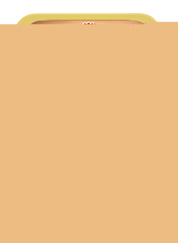 MAITRE COQ ou LE GAULOIS CUISSE DE DINDE X2 MAITRE COQ ou LE GAULOIS code EAN 3230890001352 