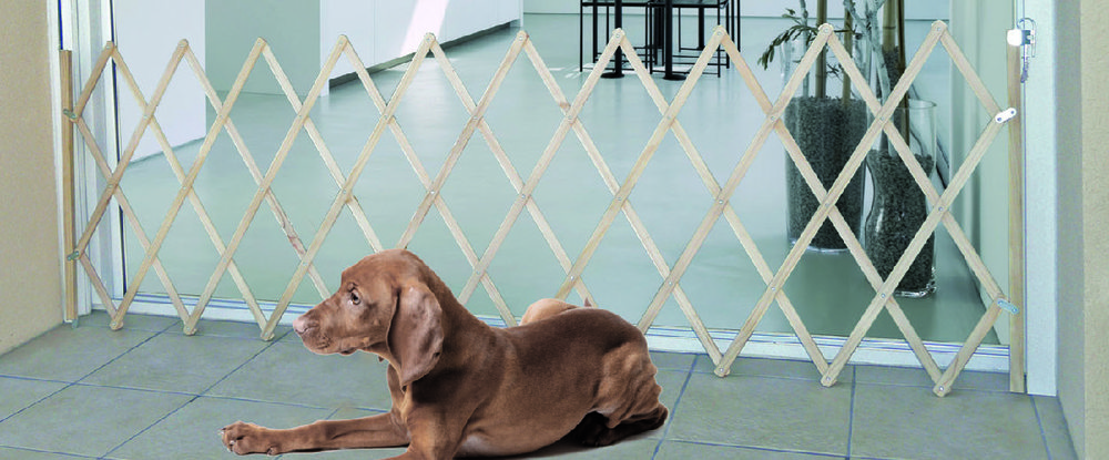 BARRIÈRE EXTENSIBLE 3232320075094 