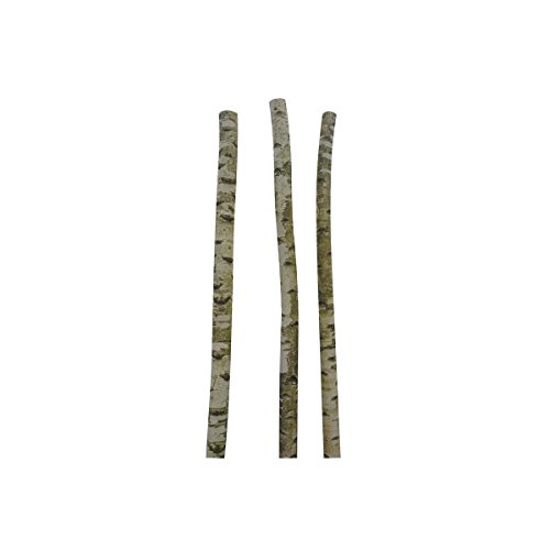 Dvi 1730 tronc de bouleau 200cm 3238920760132 AUBRY GASPARD Dvi 1730 tronc de bouleau 200cm 3238920760132 AUBRY GASPARD