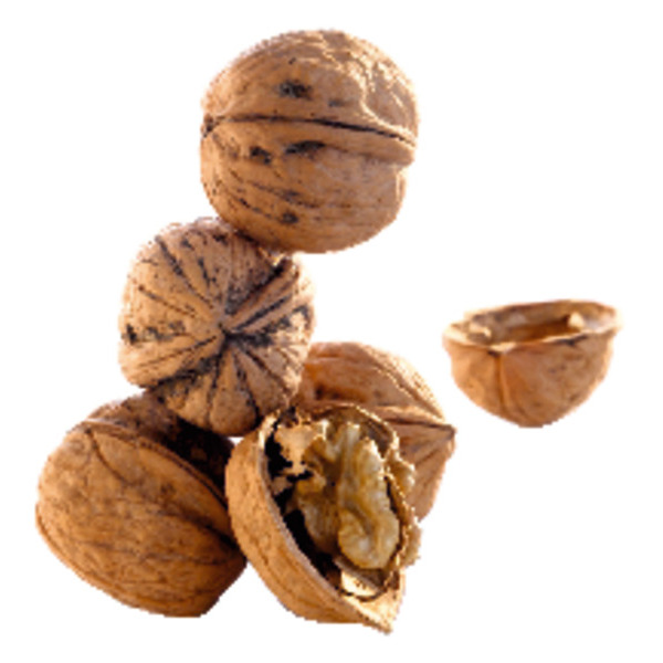  Noix Sèche Filière Auchan "Cultivons Le Bon" code EAN 3241960650288 