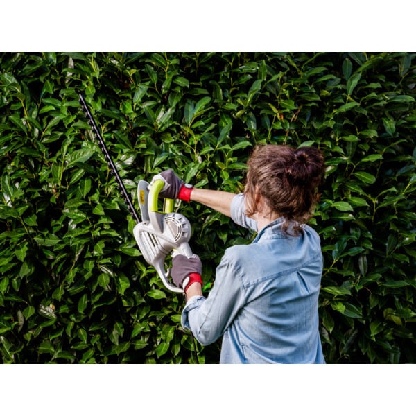  Taille Haie 550 W Gardenstar  code EAN 3245676378177 