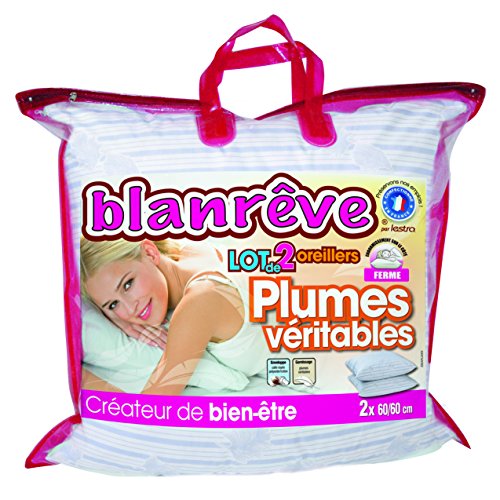 Blanrêve LOPLUHP006060 Lot de 2 Oreillers Plume...