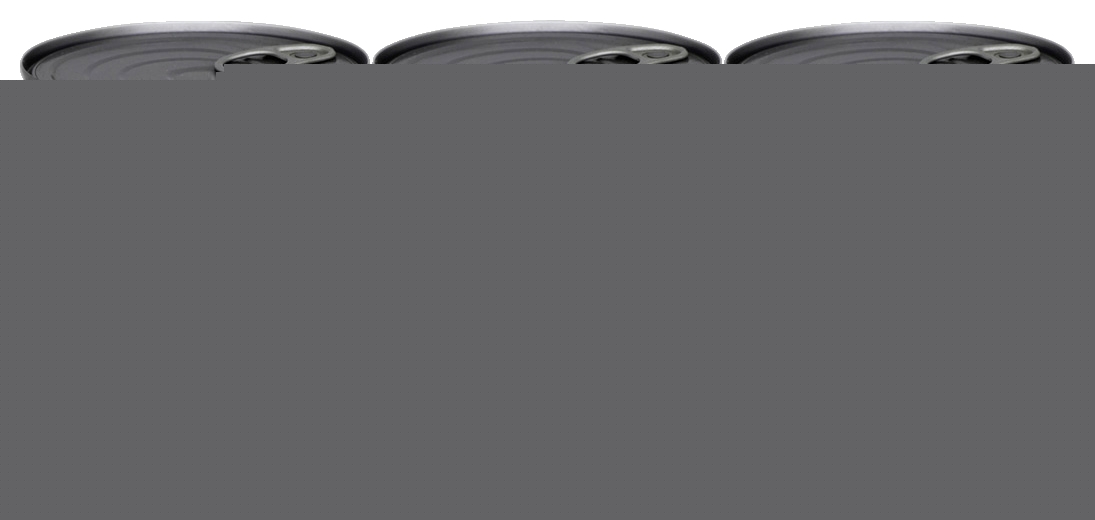 Haricots verts extra-fins Saint Eloi