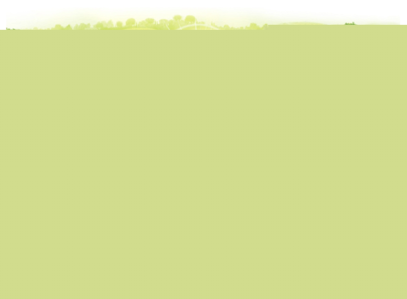 Gratin dauphinois surgelé Saint Eloi