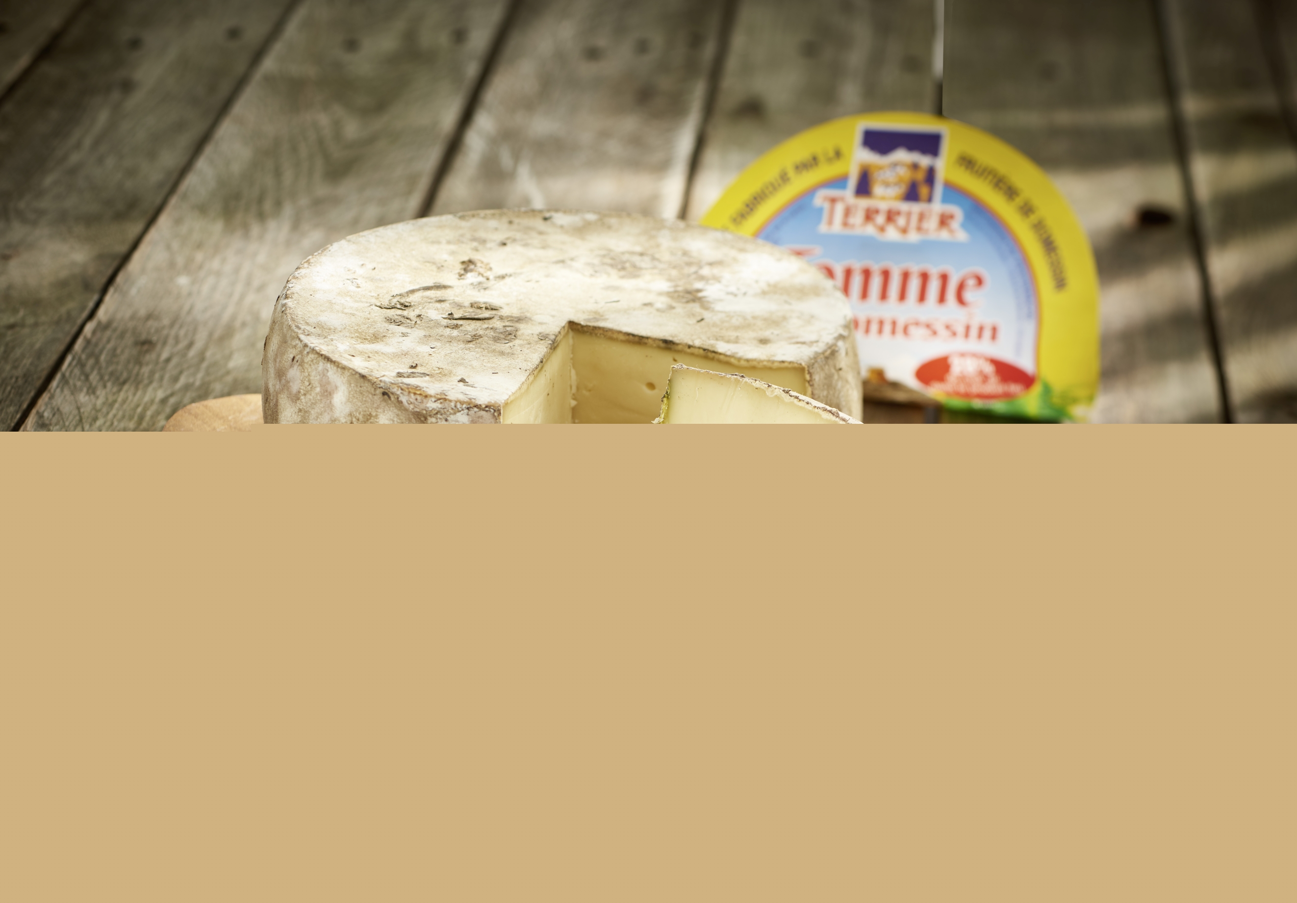 Terrier Tomme Terrier code EAN 3250390153924 