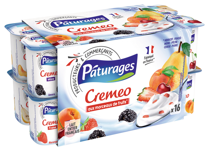 CREMEO AUX MORCEAUX DE FRUITS PATURAGES