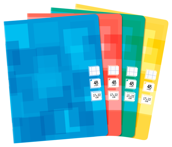 DOMEDIA CAHIER 17X22CM PIQUE 
DOMEDIA code EAN 3250390764342 