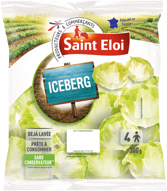 ICEBERG saint éloi