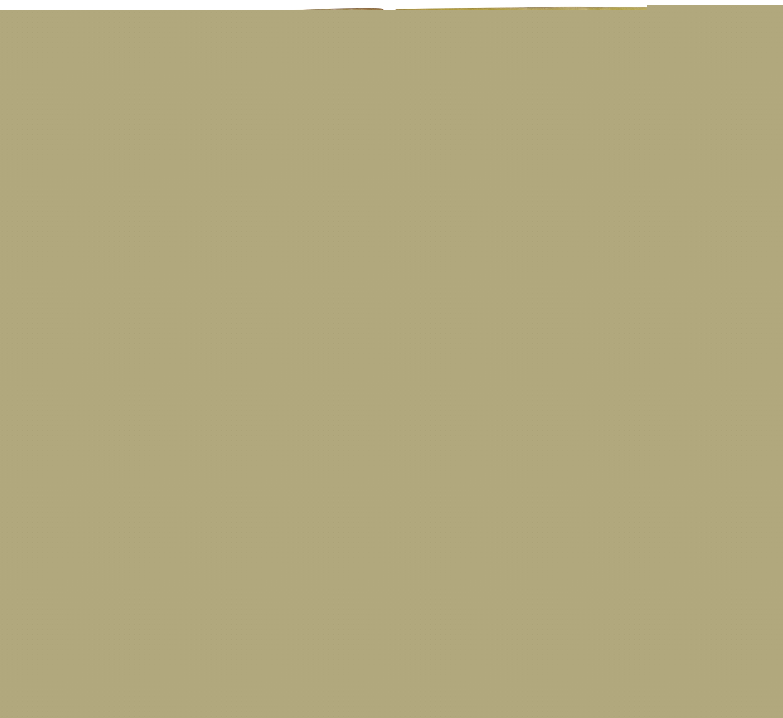 Biscuit petit déjeuner tout chocolat Chabrior