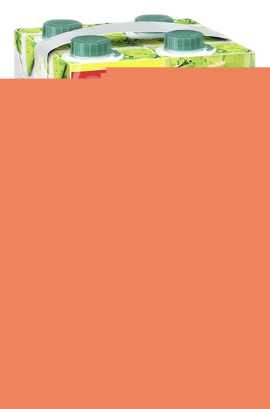 Jus à base de concentré multifruits Paquito