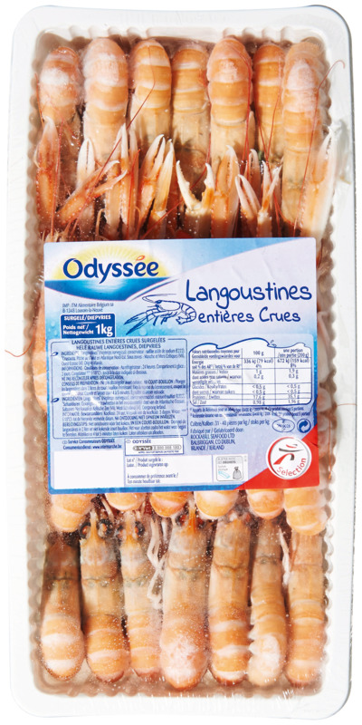 LANGOUSTINE ENTIÈRE CRU 30/40 ODYSSEE