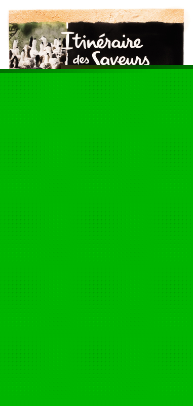 MAGRET DE CANARD DU SUD OUEST SÉCHÉ FUMÉ AU BOI...