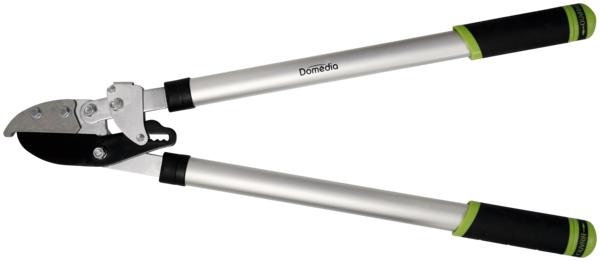 DOMEDIA COUPE BRANCHES MANCHE TÉLESCOPIQUE
 
 code EAN 3250392080020 