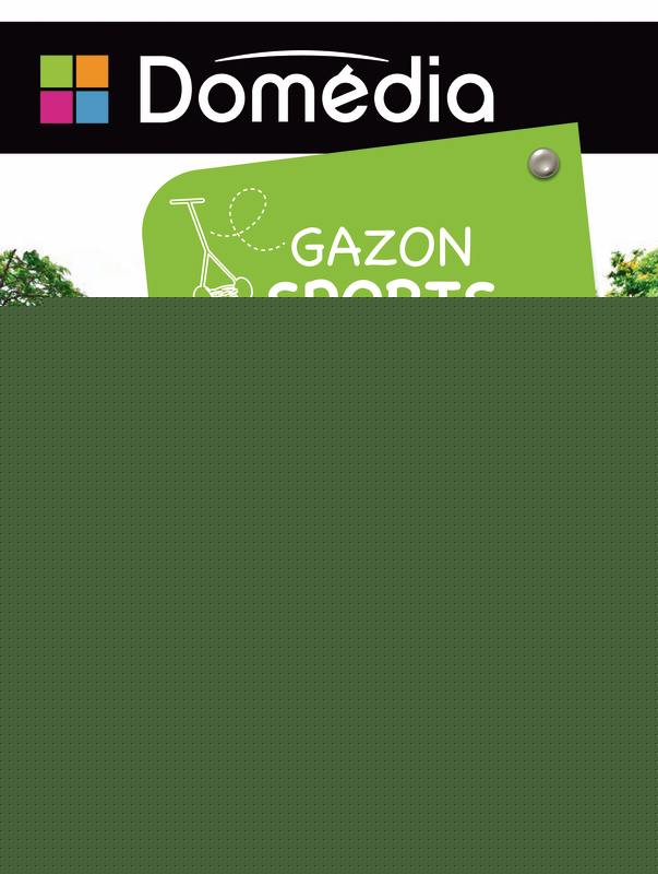 GAZON SPORT 1 KG DOMEDIA