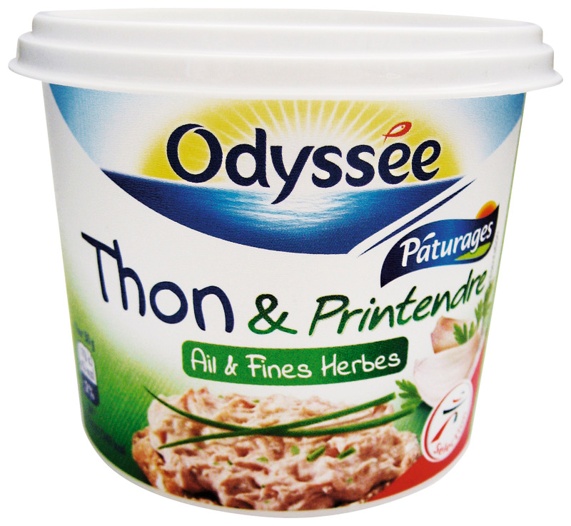 TARTINABLE AU THON PRINTENDRE AIL ET FINES HERB...