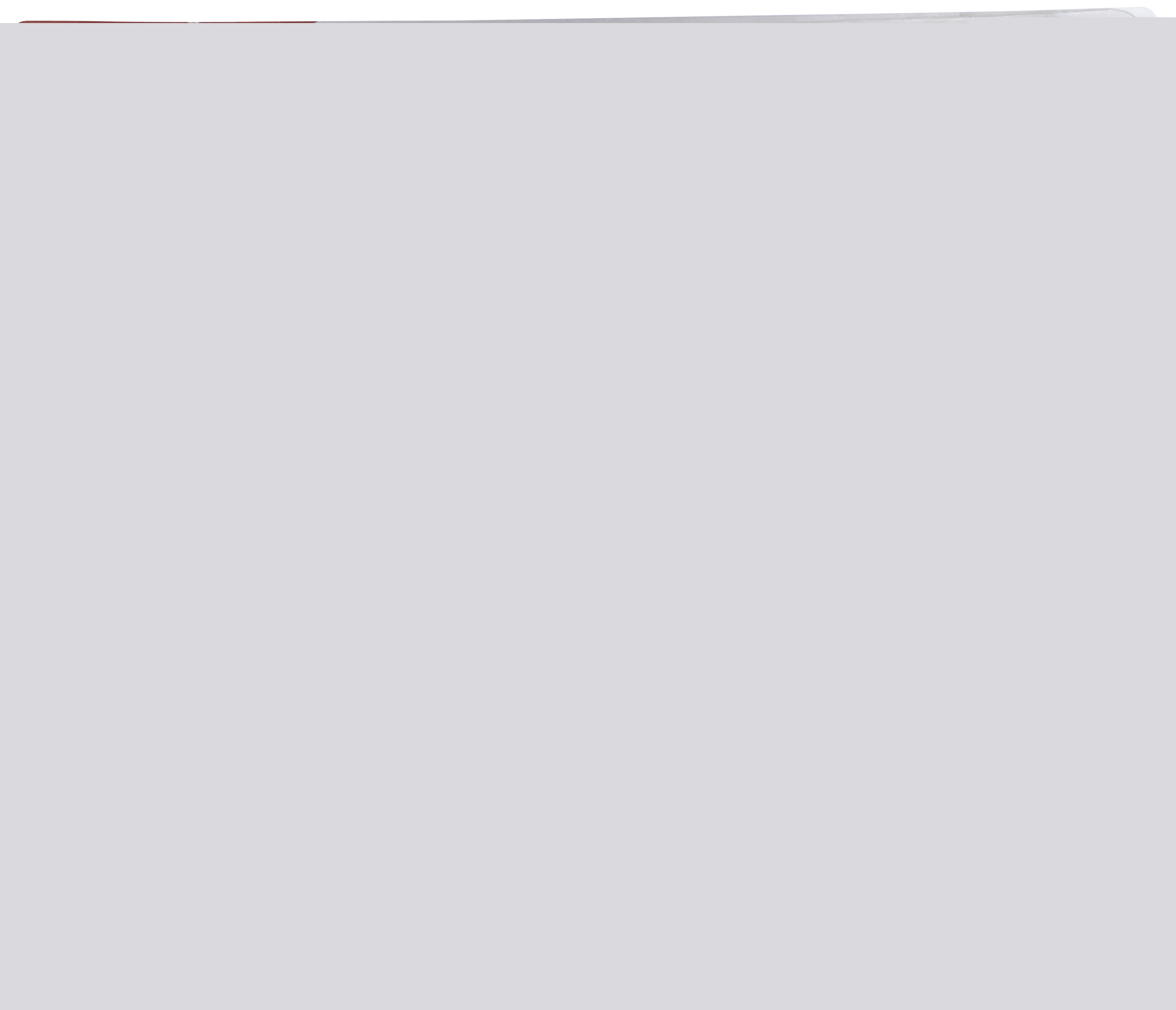 2 Ampoules LED flamme 40W E14 Domédia