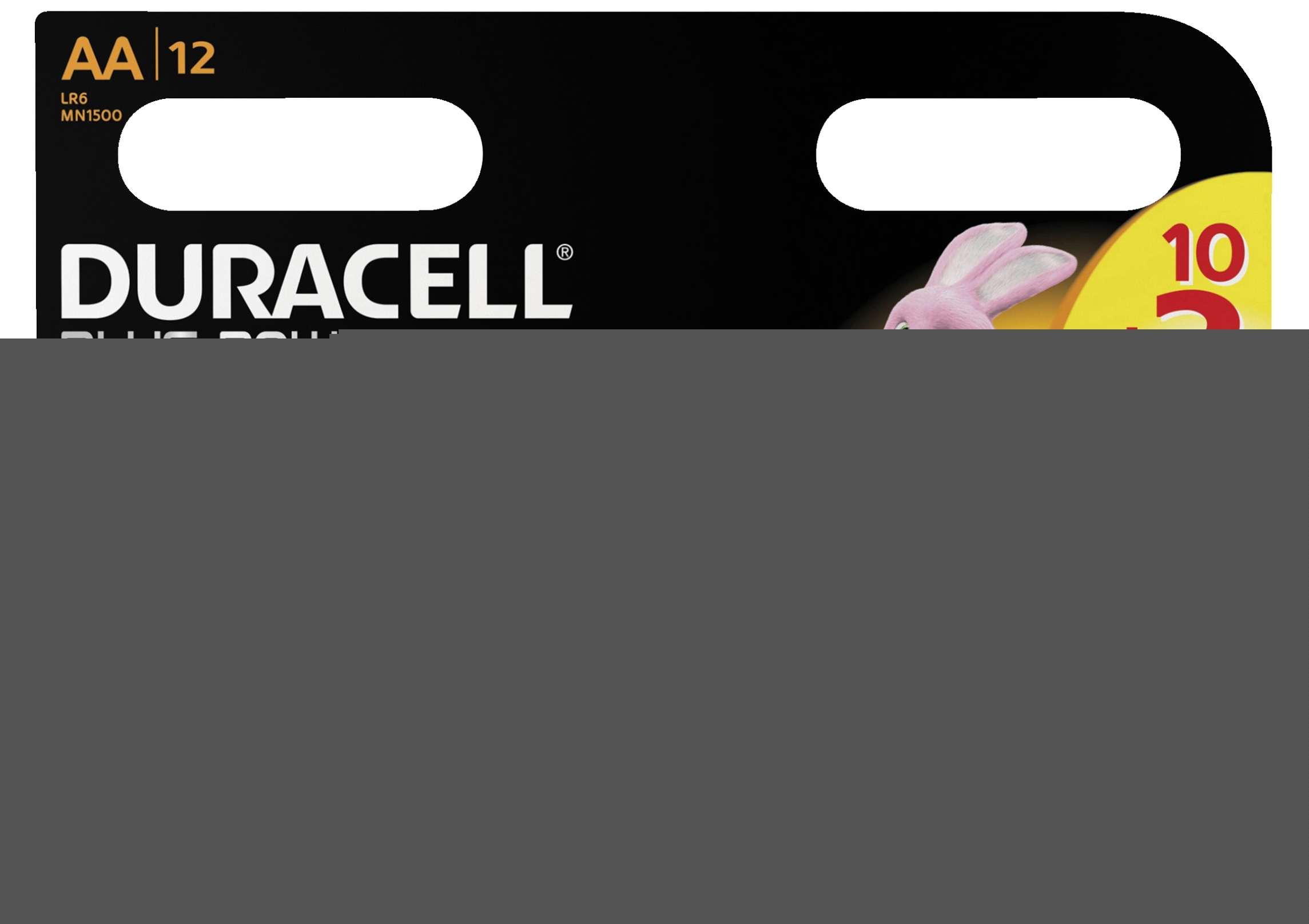 Piles plus power 10 + 2 gratuites Duracell