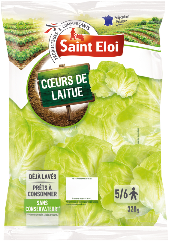 COEUR DE LAITUE SAINT ELOI