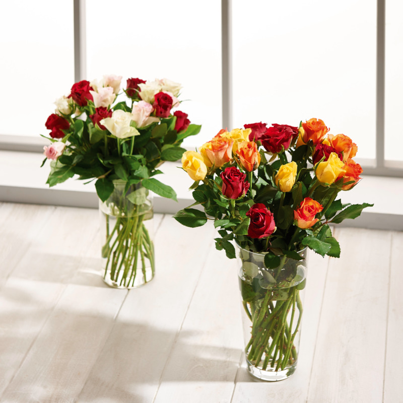 BOUQUET DE 15 ROSES 50 CM ARLEQUIN mon marché p...