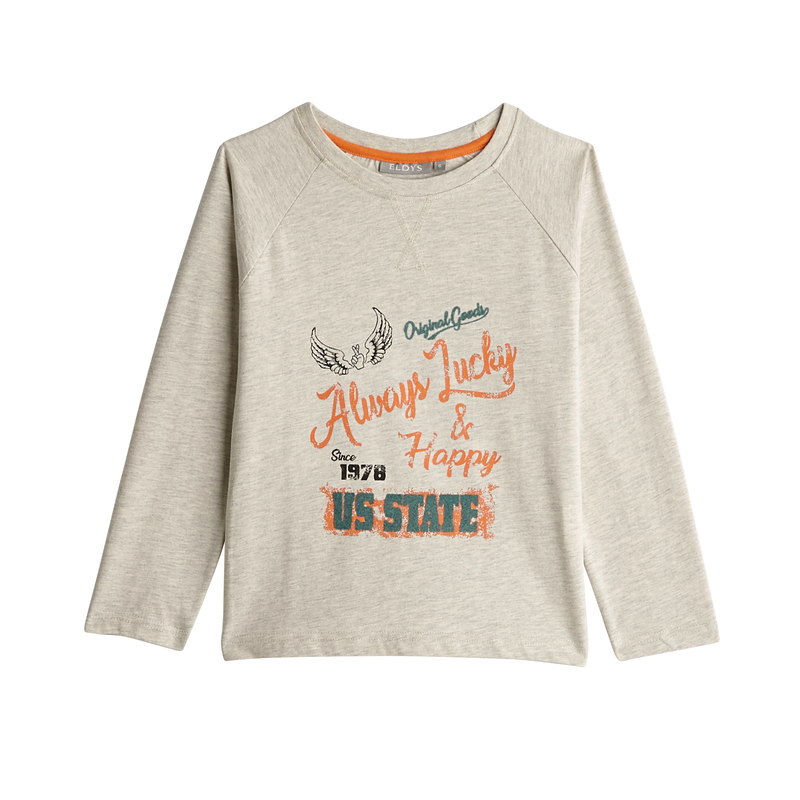 TEE SHIRT GARÇON IMPRIMÉ eldys