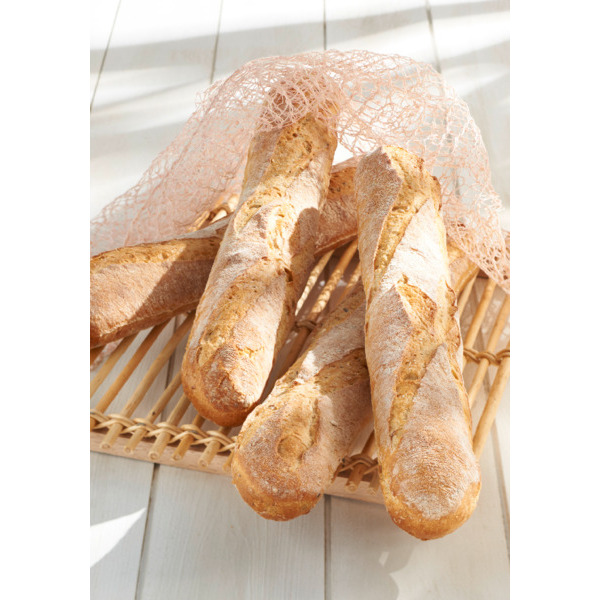 BAGUETTES CONSTANCE HVE X4
