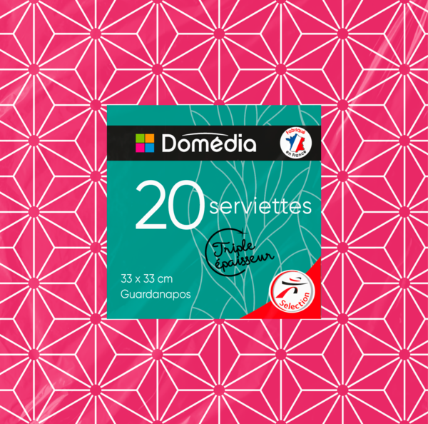 20 SERVIETTES DÉCORÉES
