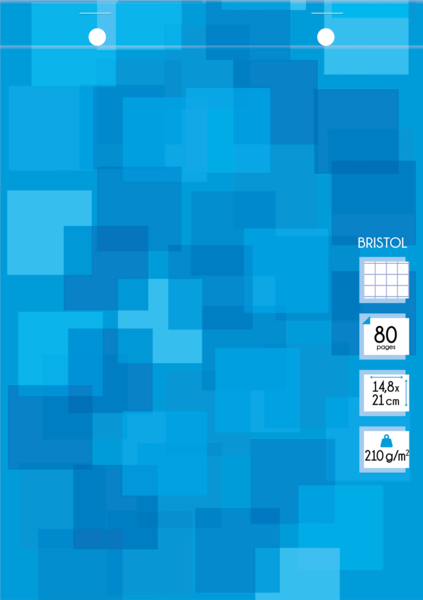 BLOC FICHE BRISTOL 
DOMEDIA