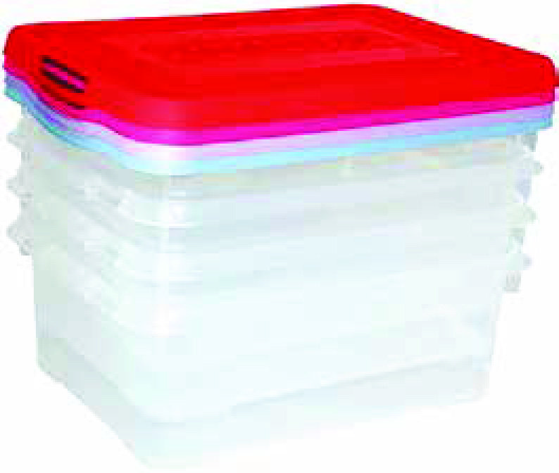 LOT DE 4 BOÎTES DE RANGEMENT 20 L