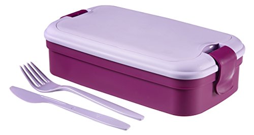 225059 bento avec couverts plastique parme 23 x...