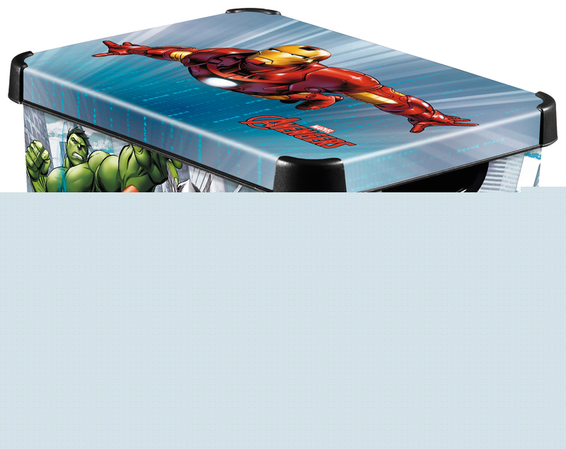 BOITE DE RANGEMENT TAILLE S DECOR FROZEN DISNEY