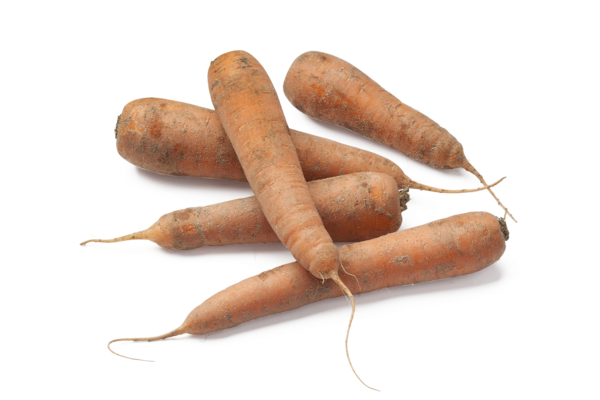  Carottes Des Sables Filière Auchan "Cultivons Le Bon" code EAN 3254560218192 