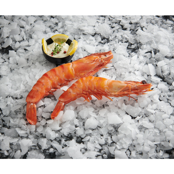  2 Gambas Sauvages Cuites Réfrigérées  code EAN 3254560357440 