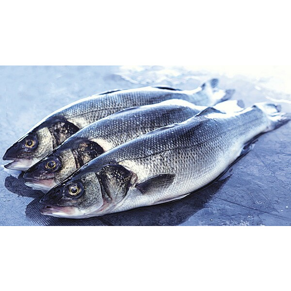  Bar code EAN 3254560486560 