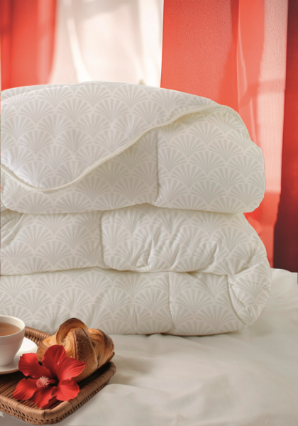  Couette Chaude Actuel code EAN 3254562503548 