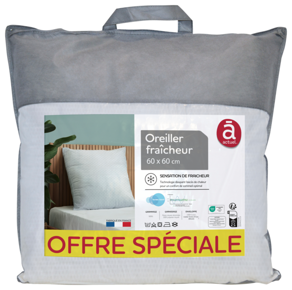  Oreiller Rafraichissant Actuel code EAN 3254564538395 