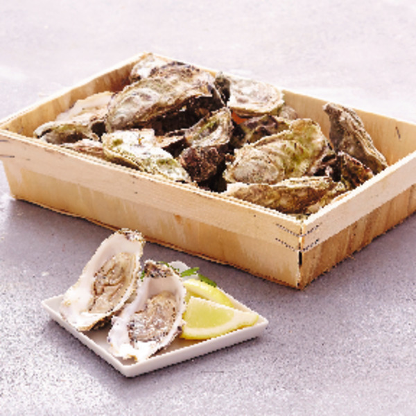  Huîtres Creuses Fines De Claires Marennes Oléron Igp   code EAN 3254566567768 