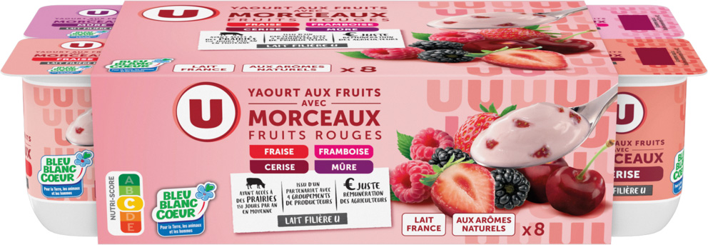  YAOURTS AUX FRUITS AVEC MORCEAUX U code EAN 3256220358330 