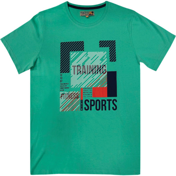 TEE-SHIRT PRINT PLACÉ HOMME 
MZ72