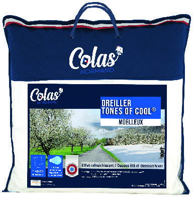 OREILLER ÉTÉ/HIVER 60 X 60 CM 3258527021962 colasnormand2020