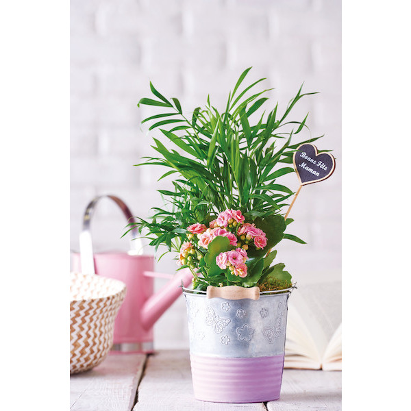 COMPOSITION MAMAN 2 PLANTES 3258829024425 (3258829024425)