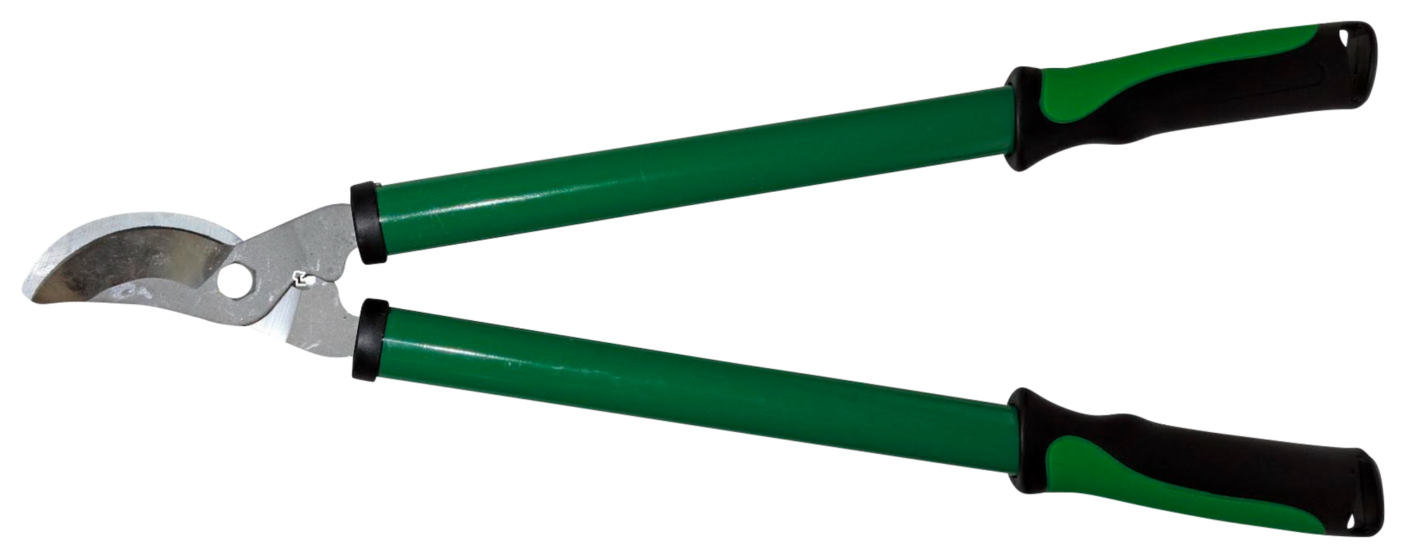 COUPE BRANCHES LAMES FRANCHES