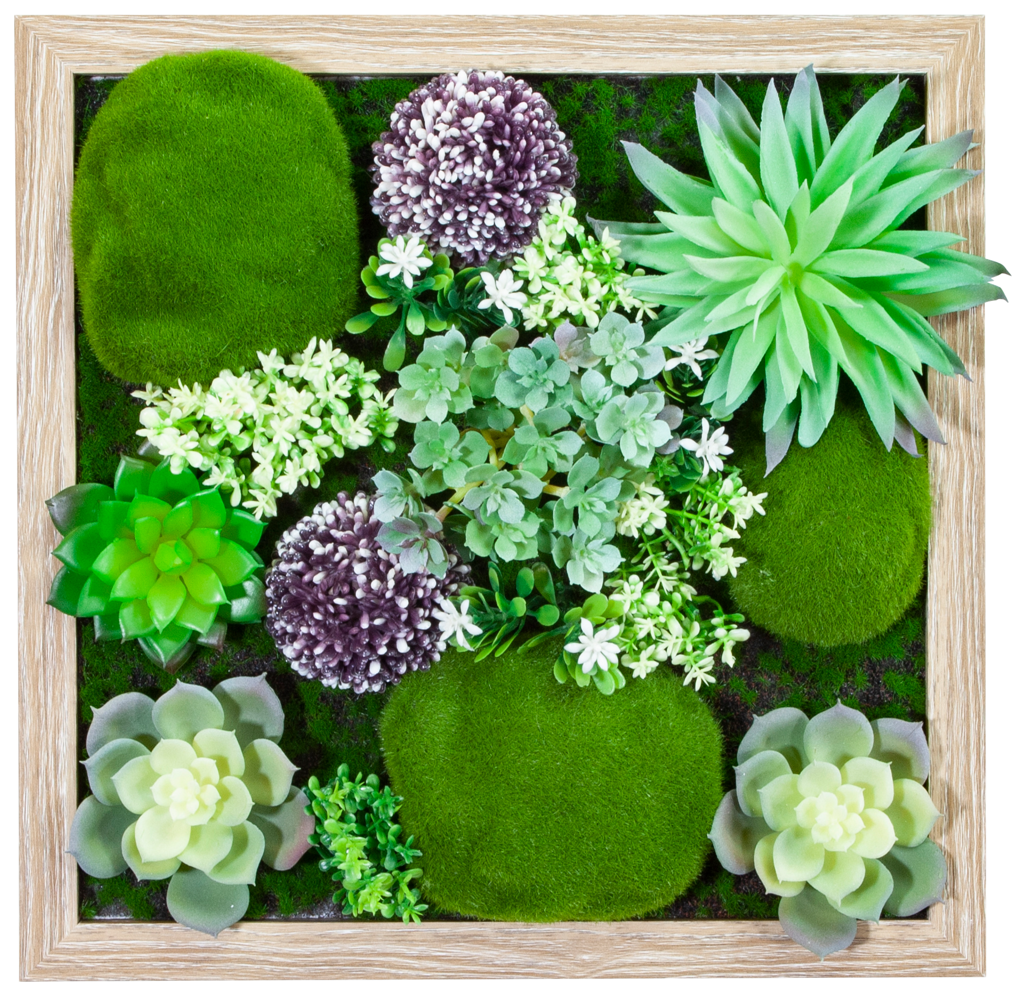 ARIANE TABLEAU VÉGÉTAL EDEN code EAN 3260782350824 