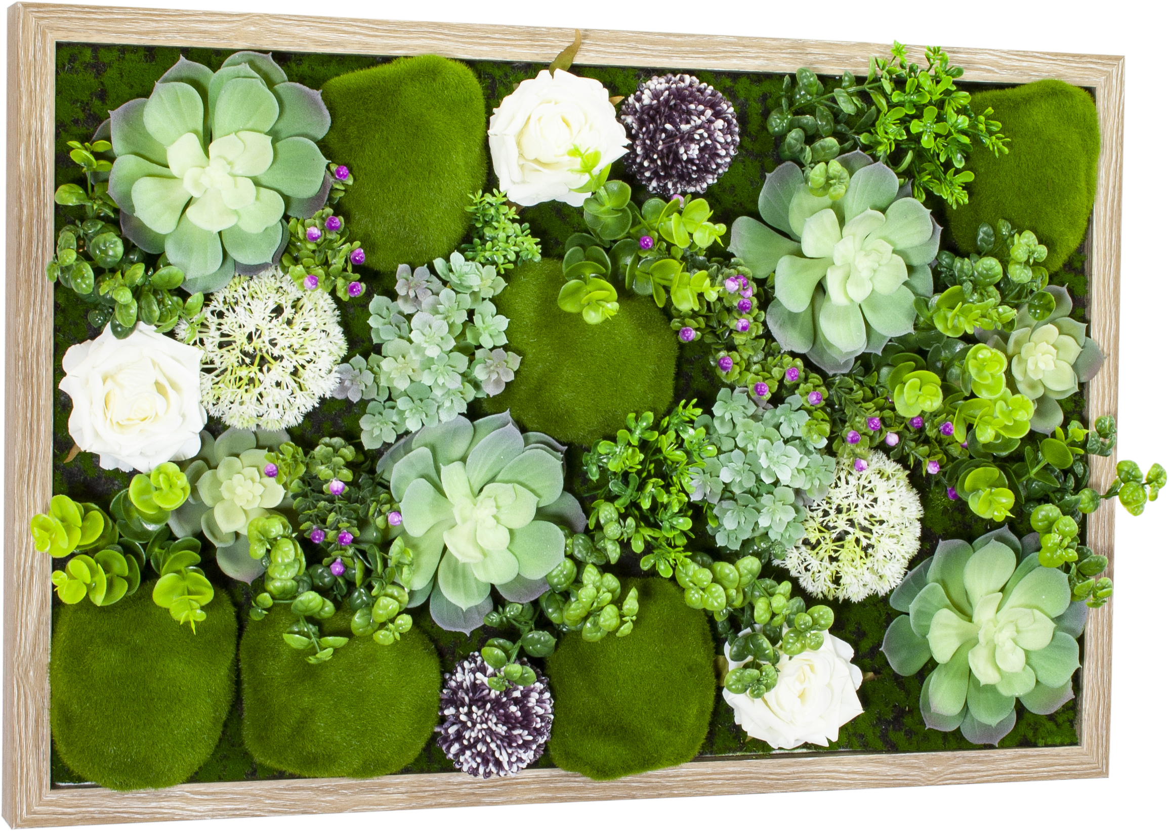  TABLEAU VÉGÉTAL code EAN 3260782350848 